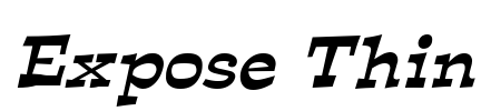 Expose Thin Font Image