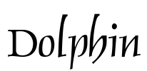 Dolphin