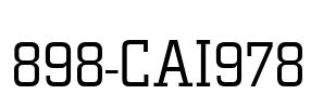 898-CAI978 Font Image