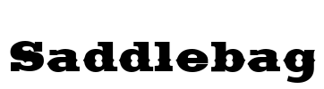 Saddlebag