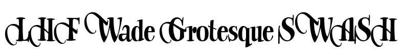 LHF Wade Grotesque SWASH Font Image