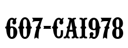 607-CAI978