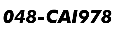 048-CAI978 Font Image