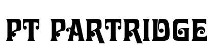 PT Partridge