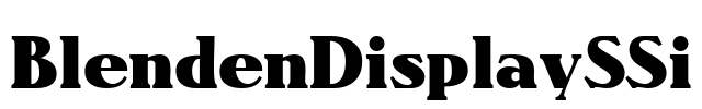 BlendenDisplaySSi