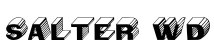 Salter Wd Font Image