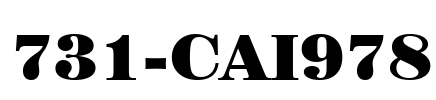 731-CAI978 Font Image