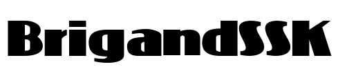 BrigandSSK