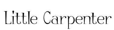 Little Carpenter