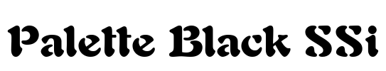 Palette Black SSi