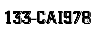 133-CAI978 Font Image