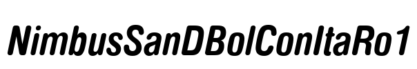 NimbusSanDBolConItaRo1 Font Image
