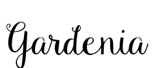 Gardenia