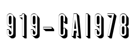 919-CAI978