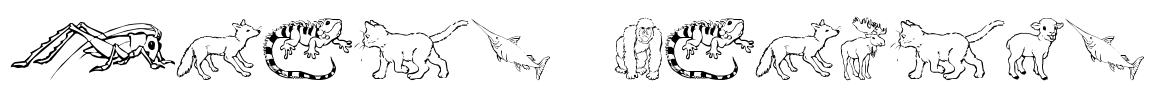 Nina's Animals