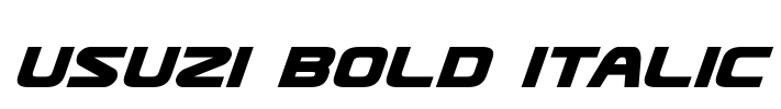 Usuzi Bold Italic