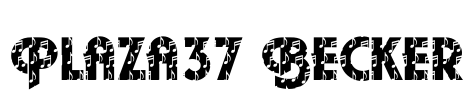 Plaza37 Becker