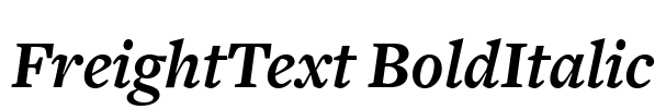 FreightText BoldItalic Font Image