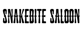 Snakebite Saloon Font Image
