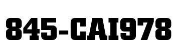 845-CAI978