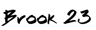 Brook 23