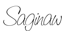 Saginaw Font Image