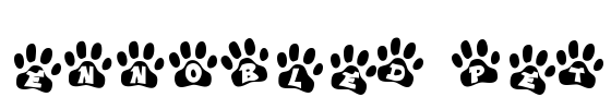 Ennobled Pet Font Image