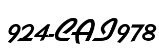 924-CAI978