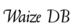 Waize DB Font Image