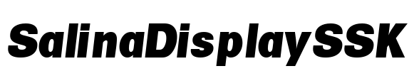 SalinaDisplaySSK Font Image