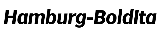 Hamburg-BoldIta Font Image