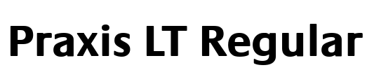 Praxis LT Regular