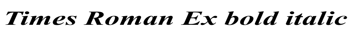Times Roman Ex bold italic