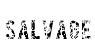 SALVAGE Font Image