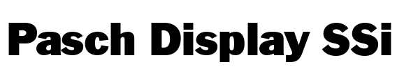 Pasch Display SSi