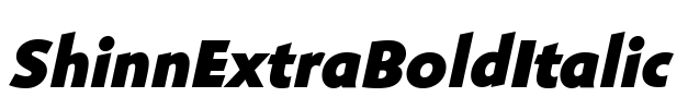 ShinnExtraBoldItalic Font Image