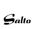 Salto Font Image