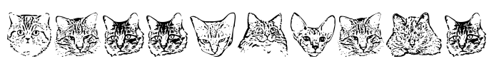KittyPrint