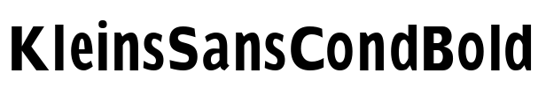 KleinsSansCondBold