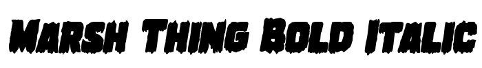 Marsh Thing Bold Italic Font Image