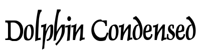Dolphin Condensed Font Image