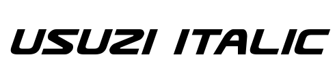Usuzi Italic Font Image
