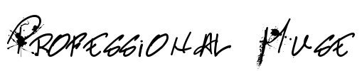 Professional Muse Font Image