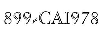 899-CAI978 Font Image