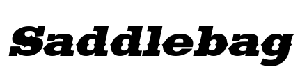 Saddlebag