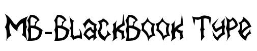 MB-BlackBook Type