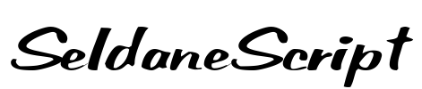 SeldaneScript Font Image