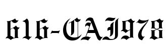 616-CAI978