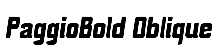 PaggioBold Oblique Font Image
