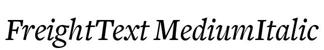 FreightText MediumItalic